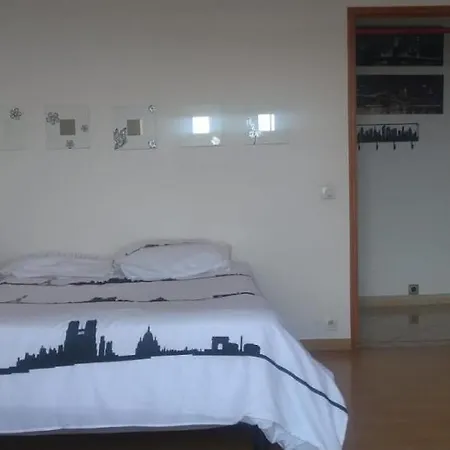 F2 Accueillant De 54 M² Refait A Neuf